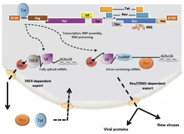 首页| PP电子游戏中国区官方网站
