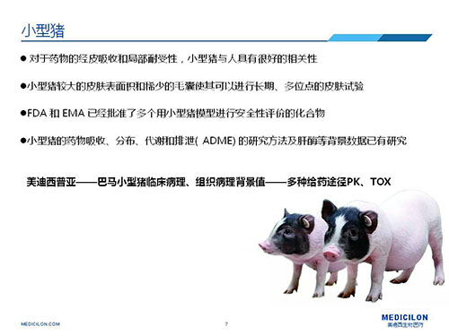 皮肤涂抹试验中，受试动物选择幼型猪更好