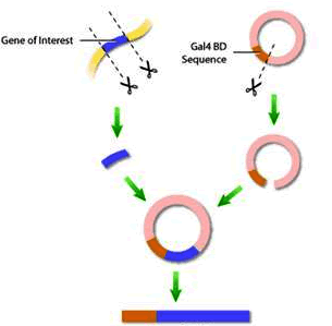 首页| PP电子游戏中国区官方网站