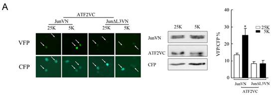 首页| PP电子游戏中国区官方网站