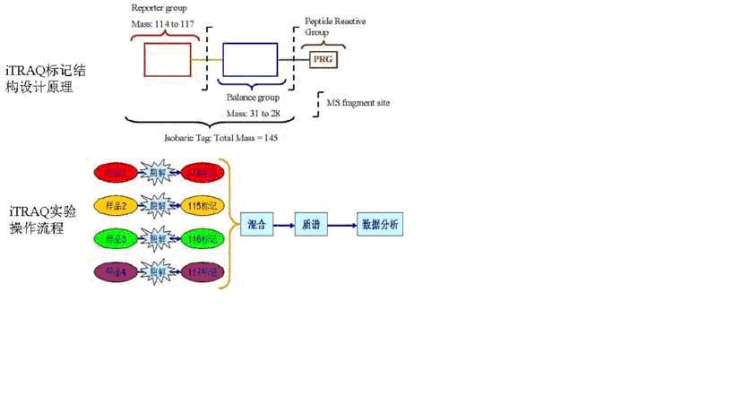 首页| PP电子游戏中国区官方网站