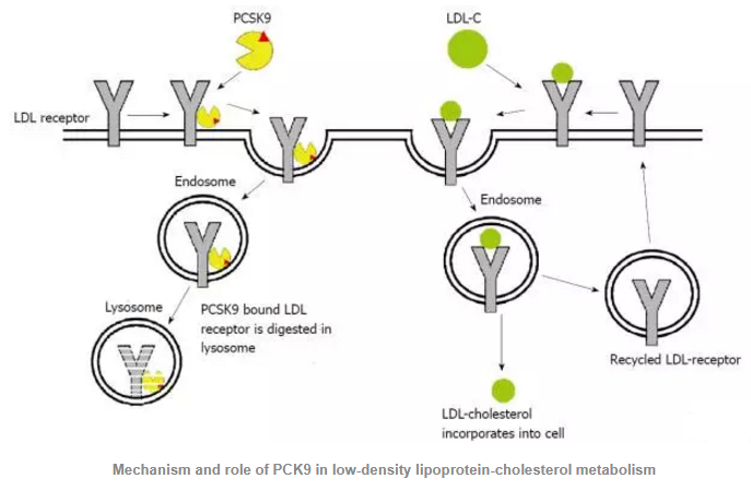 首页| PP电子游戏中国区官方网站