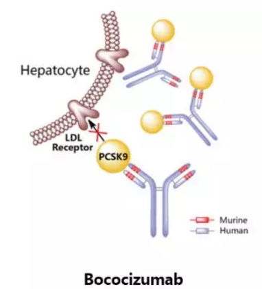 首页| PP电子游戏中国区官方网站