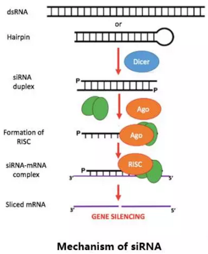 首页| PP电子游戏中国区官方网站