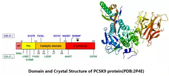 首页| PP电子游戏中国区官方网站