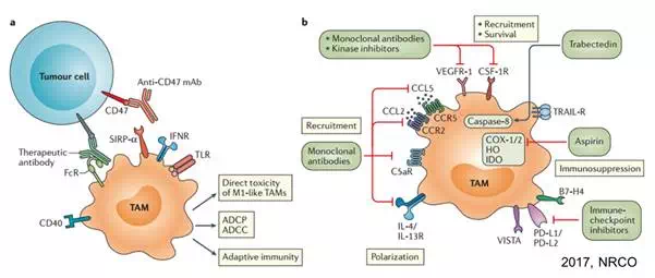 首页| PP电子游戏中国区官方网站