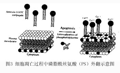 首页| PP电子游戏中国区官方网站