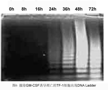 首页| PP电子游戏中国区官方网站