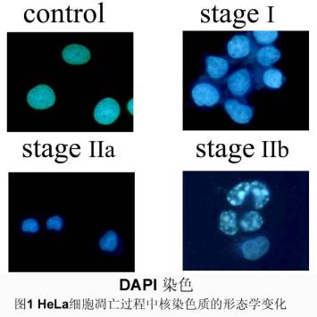 首页| PP电子游戏中国区官方网站