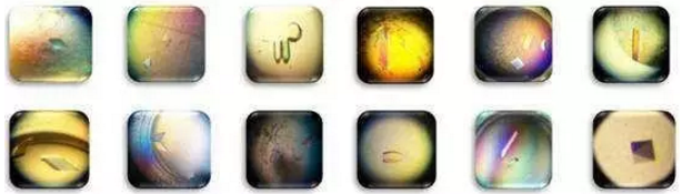 首页| PP电子游戏中国区官方网站