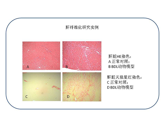 首页| PP电子游戏中国区官方网站
