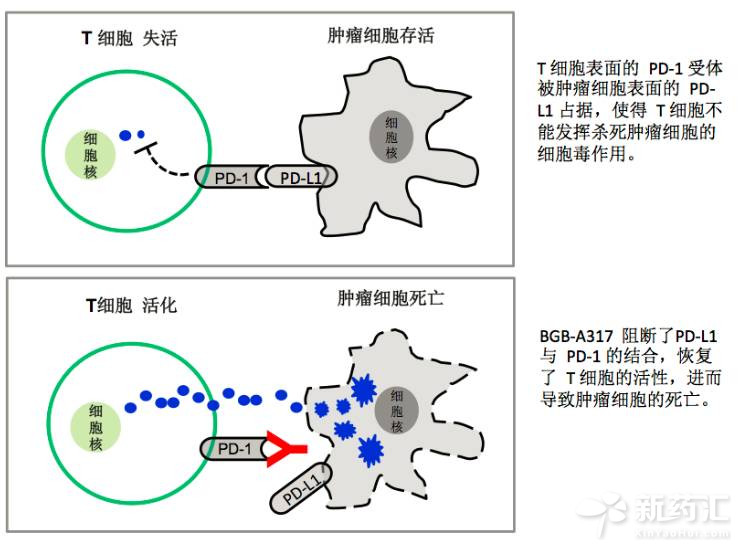 首页| PP电子游戏中国区官方网站