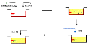 首页| PP电子游戏中国区官方网站
