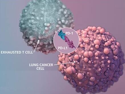 首页| PP电子游戏中国区官方网站