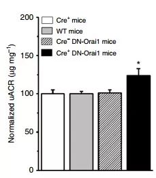 首页| PP电子游戏中国区官方网站
