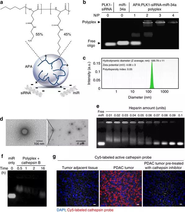首页| PP电子游戏中国区官方网站