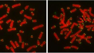 首页| PP电子游戏中国区官方网站