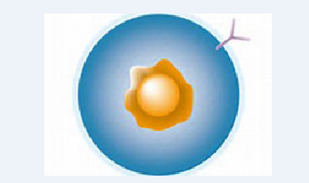 首页| PP电子游戏中国区官方网站