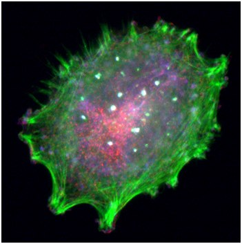 首页| PP电子游戏中国区官方网站