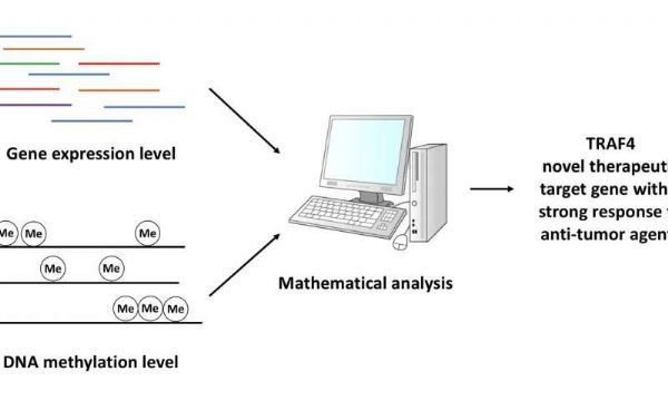 首页| PP电子游戏中国区官方网站
