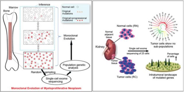 首页| PP电子游戏中国区官方网站