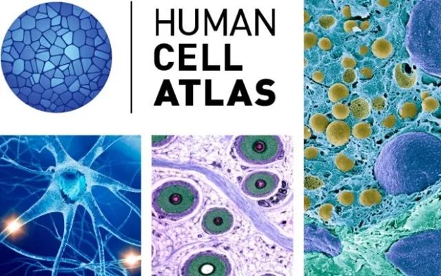 首页| PP电子游戏中国区官方网站