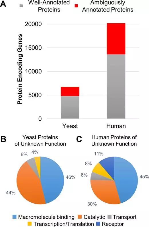 首页| PP电子游戏中国区官方网站