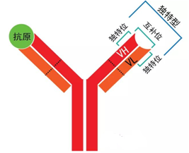 首页| PP电子游戏中国区官方网站