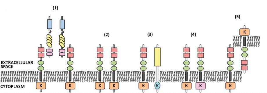 首页| PP电子游戏中国区官方网站