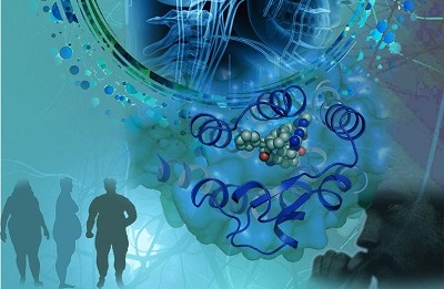 【盘点】单酰甘油酯酶（MAGL）抑造剂的钻研进展