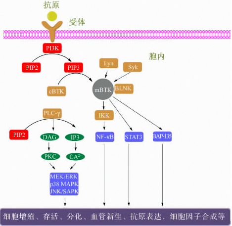 首页| PP电子游戏中国区官方网站