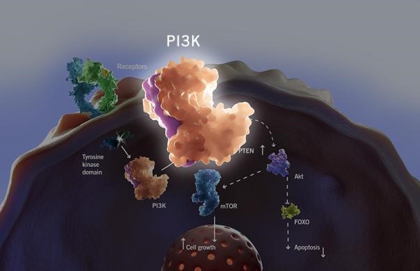 首页| PP电子游戏中国区官方网站