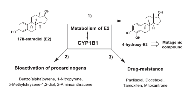 首页| PP电子游戏中国区官方网站