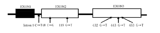 首页| PP电子游戏中国区官方网站