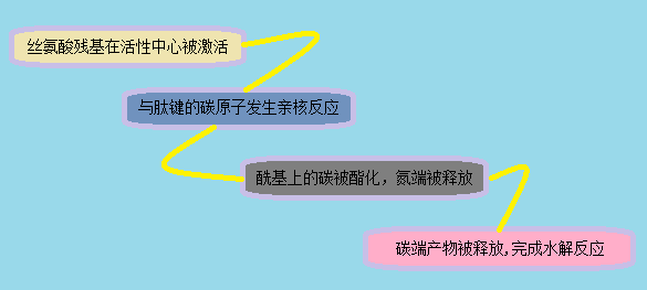 首页| PP电子游戏中国区官方网站