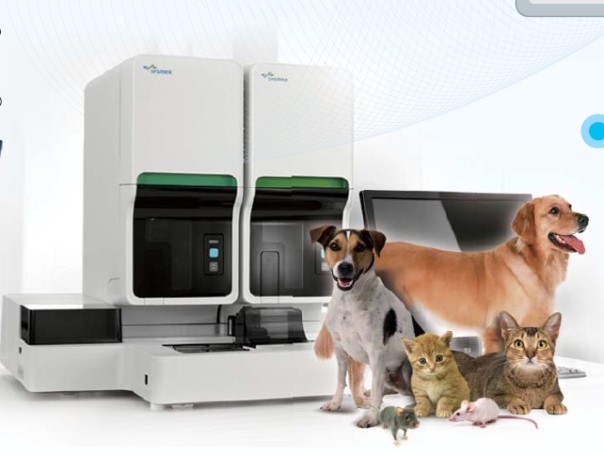 首页| PP电子游戏中国区官方网站