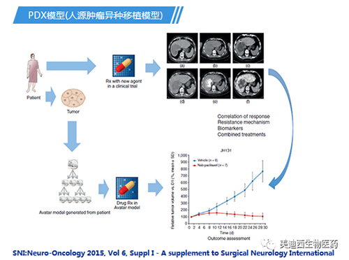 PP电子游戏PDX模型