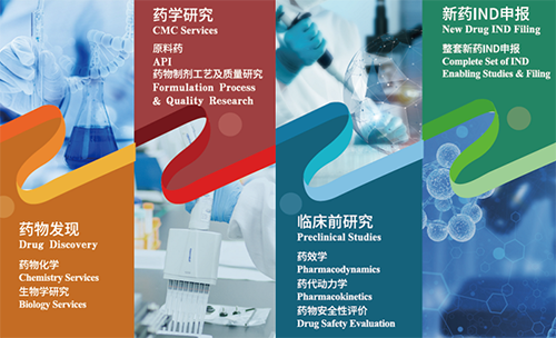 PP电子游戏药物发现、药学钻延注临床前钻延注新药IND申报