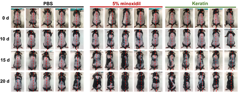 北卡罗来纳州立大学的钻研人员的钻研