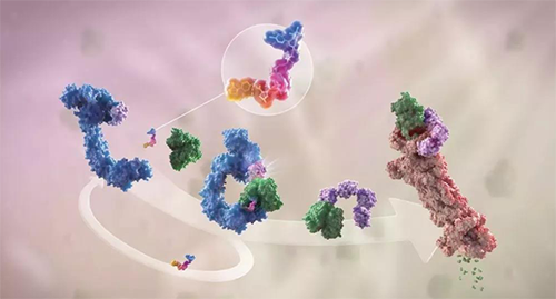 LYTAC出世，与PROTAC并肩作战针对不成成药的靶点