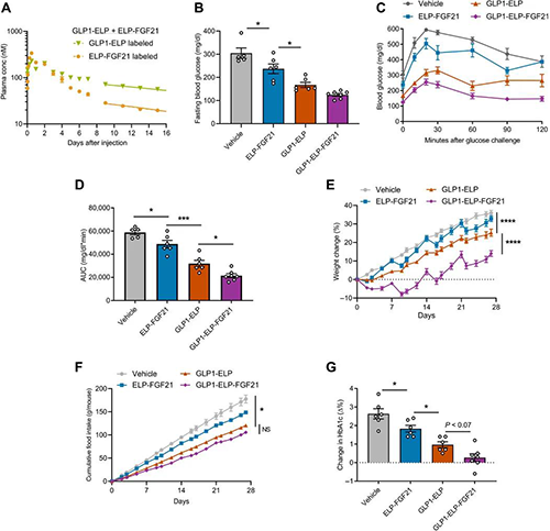 GLP1-ELP-FGF21双激昂剂融合蛋白对血糖和体沉拥有有效且持续的作用 PP电子游戏