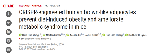 Science|聚焦CRISPR：刷新脂肪细胞，“躺瘦”可能要成真了？