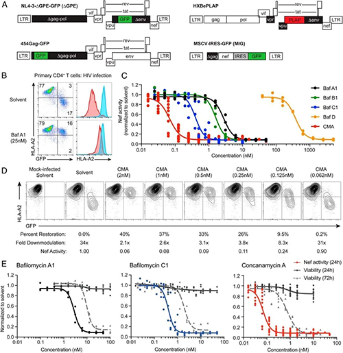 天然产品抑造剂的筛选