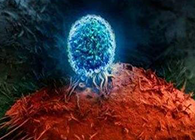 Nature：BATF3改善T细胞影象应答，有望改善免疫疗法的疗效