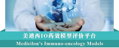 PP电子游戏IO药效模型评价平台