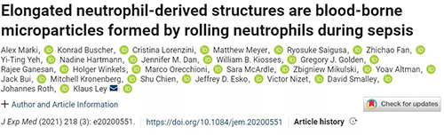 一种神秘颗粒被发现了 ！它能否成为败血症早筛标志物？