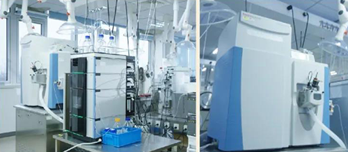 PP电子游戏DMPK分析服务