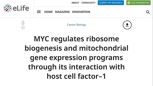 能够“消融”肿瘤的蛋白质，你肯定没有听说过！