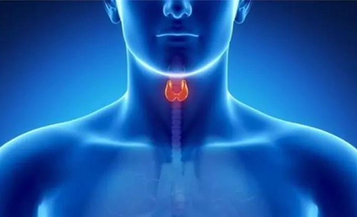 Science快递 | 揭开甲状腺的神秘面纱，开启代谢药物新征程