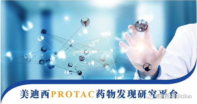 PP电子游戏PROTAC药物发现钻研平台